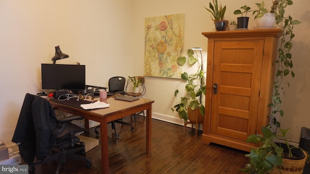 office area featuring wood finished floors