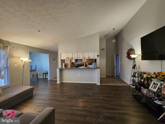 living room with baseboards, a textured ceiling, lofted ceiling, and dark wood-style flooring