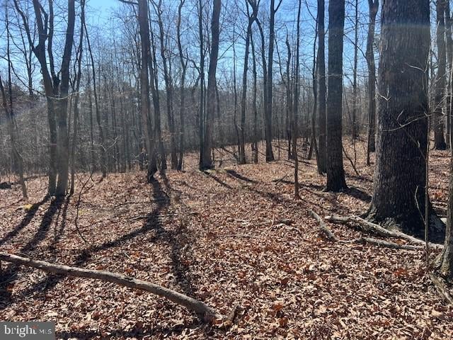 view of local wilderness featuring a wooded view