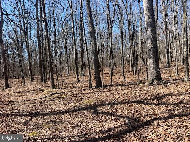 view of nature with a wooded view