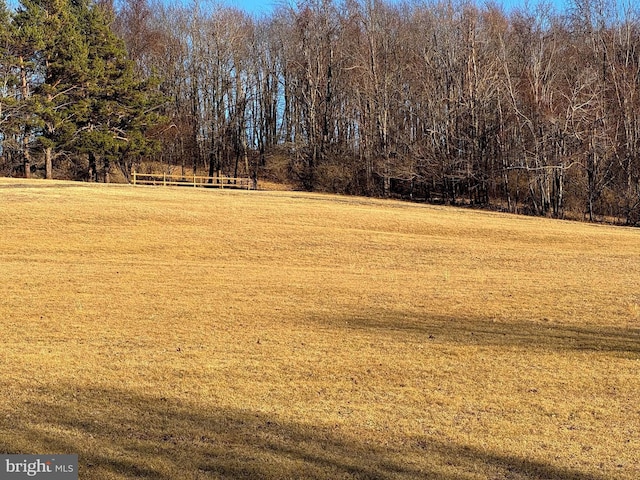 view of yard featuring a wooded view