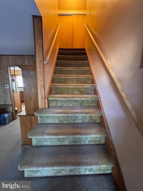 stairs with wooden walls and carpet flooring