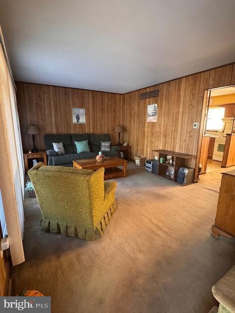 carpeted living area with wooden walls