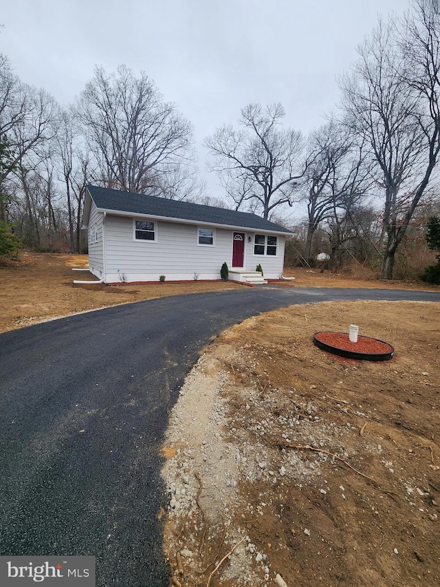 view of front facade featuring curved driveway