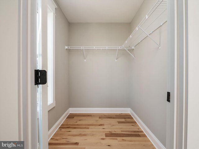 spacious closet featuring light wood finished floors