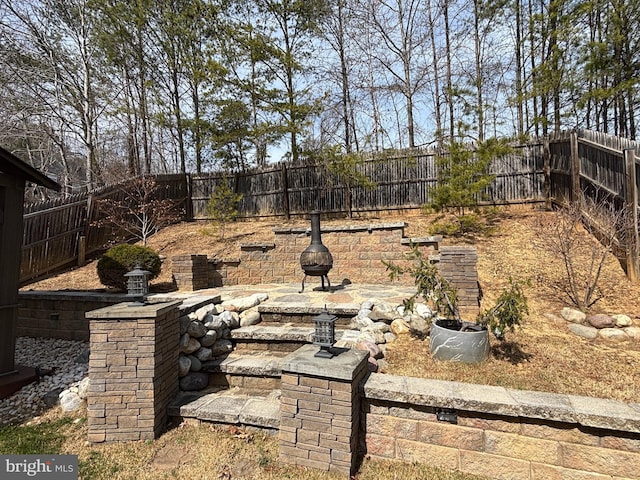 view of yard with a patio and a fenced backyard