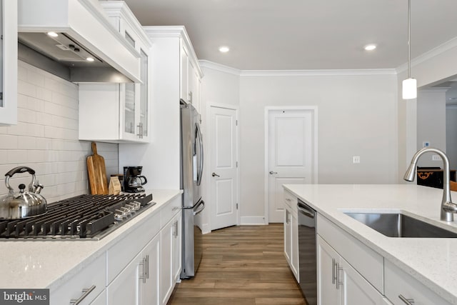 kitchen featuring stainless steel appliances, crown molding, custom range hood, and a sink