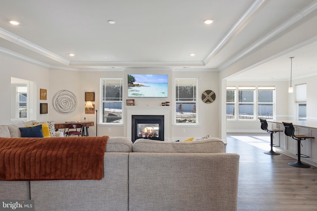 living area featuring a multi sided fireplace, a raised ceiling, a healthy amount of sunlight, and ornamental molding