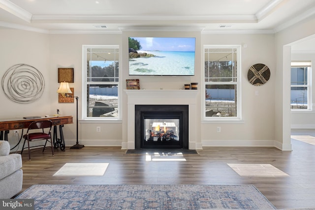 living room with a multi sided fireplace, a raised ceiling, a healthy amount of sunlight, and ornamental molding