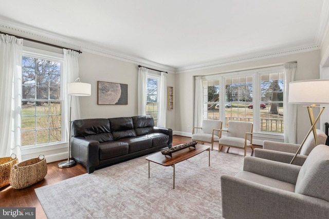 living room featuring crown molding, plenty of natural light, wood finished floors, and baseboards