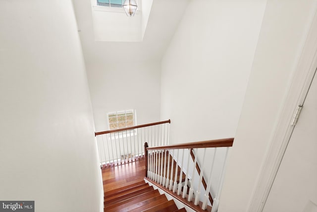 staircase with wood-type flooring