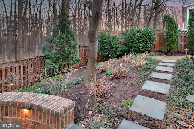 view of yard with a fenced backyard