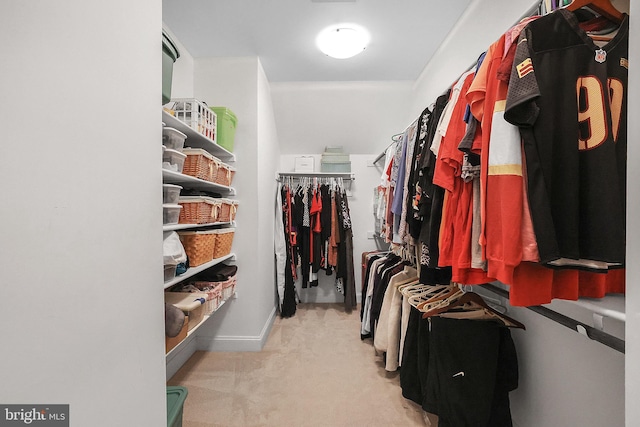 spacious closet with carpet flooring