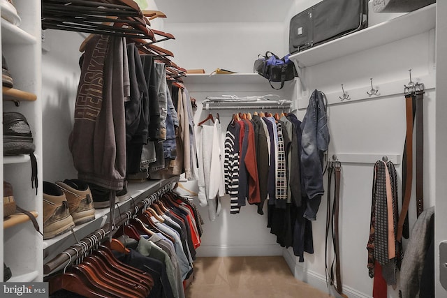 view of spacious closet