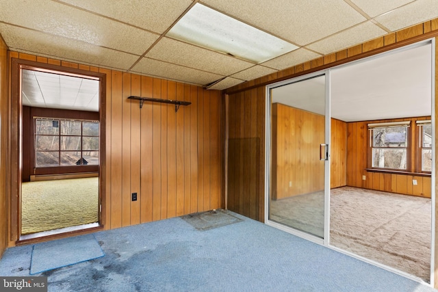 unfurnished room with a wealth of natural light, wooden walls, baseboard heating, and carpet floors