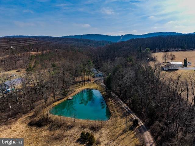 view of swimming pool with a forest view and a water and mountain view