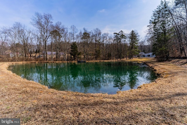 view of water feature