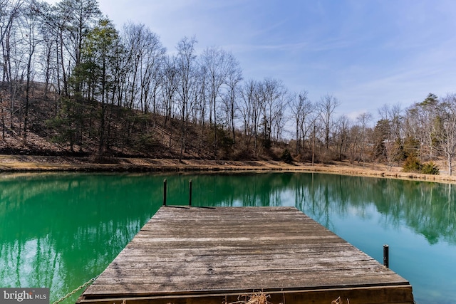 dock area with a water view