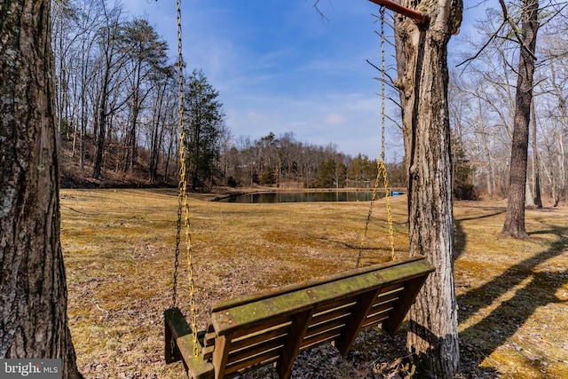 view of yard with a wooded view and a water view