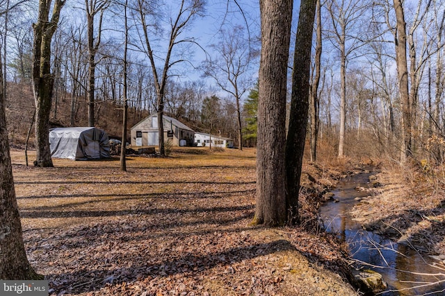 view of yard featuring driveway