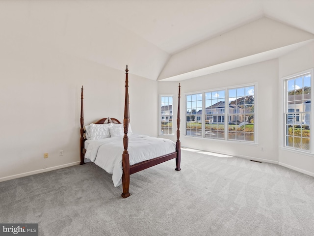 unfurnished bedroom with baseboards, carpet, and lofted ceiling