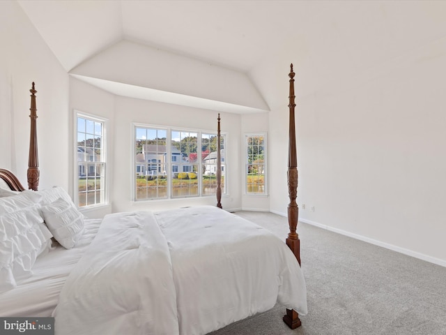 carpeted bedroom with multiple windows, baseboards, and lofted ceiling