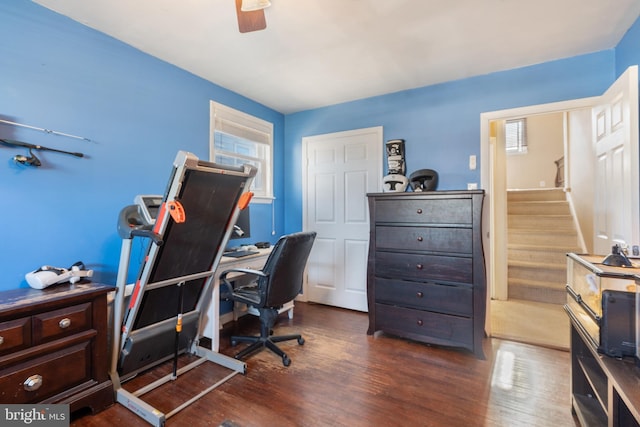 home office featuring a wealth of natural light, wood finished floors, and a ceiling fan