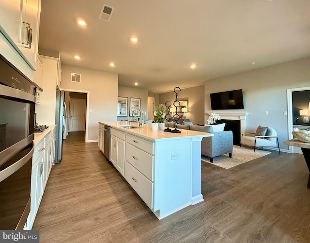 kitchen featuring white cabinetry, a fireplace, appliances with stainless steel finishes, and a sink