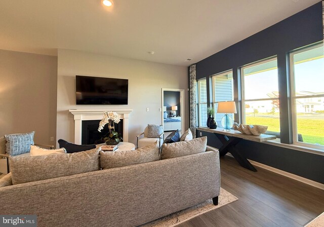 living room with wood finished floors, a fireplace, and baseboards