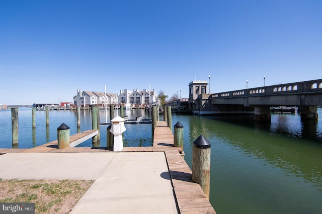 dock area with a water view