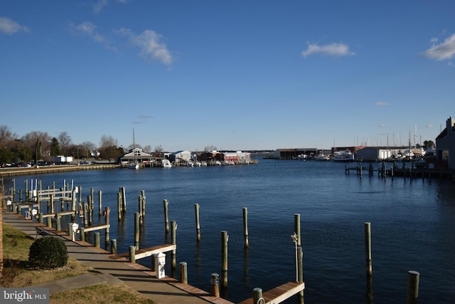 dock area featuring a water view