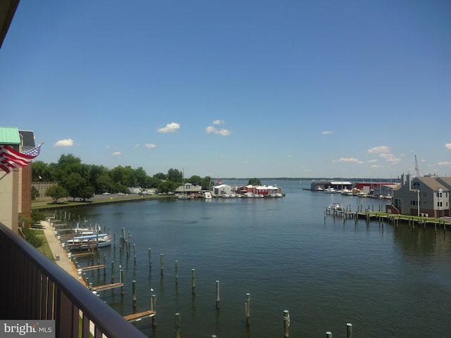 water view with a dock