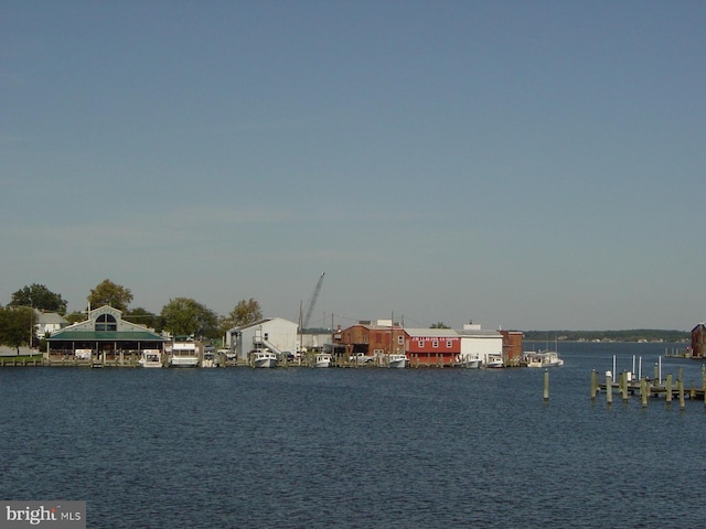 view of water feature featuring a boat dock