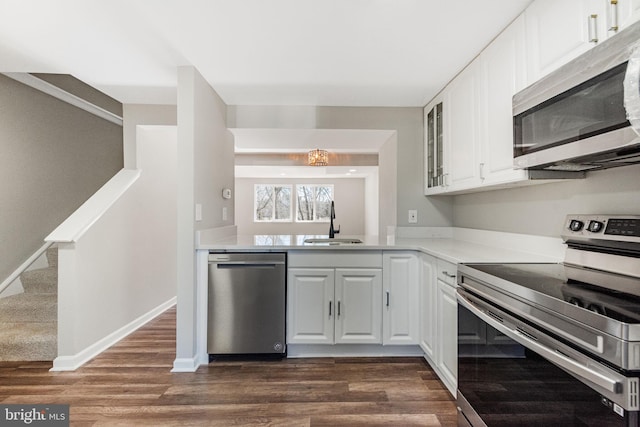 kitchen with appliances with stainless steel finishes, glass insert cabinets, dark wood-type flooring, and a sink