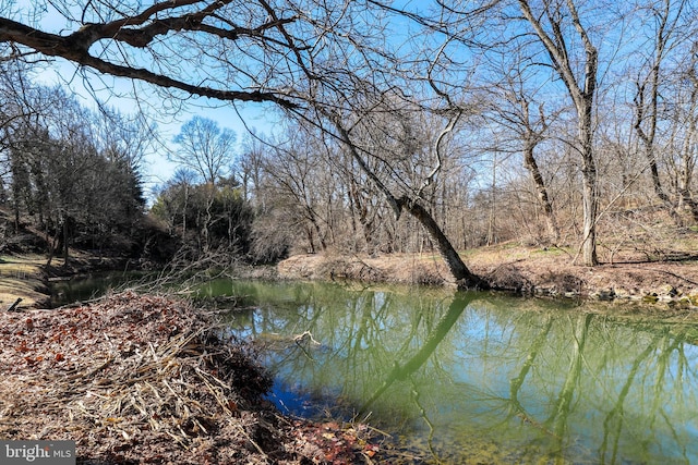 view of water feature featuring a wooded view