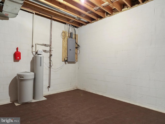 unfinished basement with electric panel