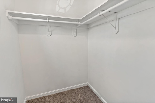 walk in closet with carpet