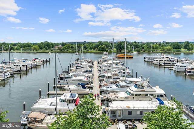 view of dock featuring a water view