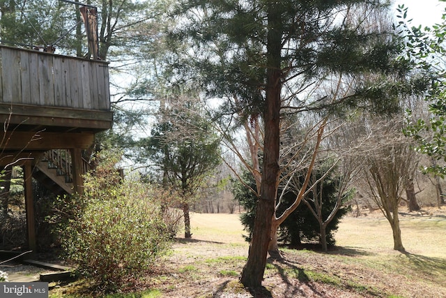 view of yard with stairs