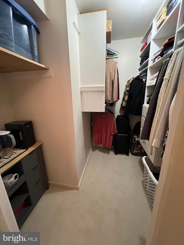 spacious closet featuring carpet