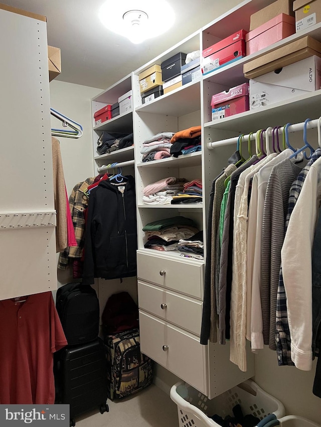 view of spacious closet