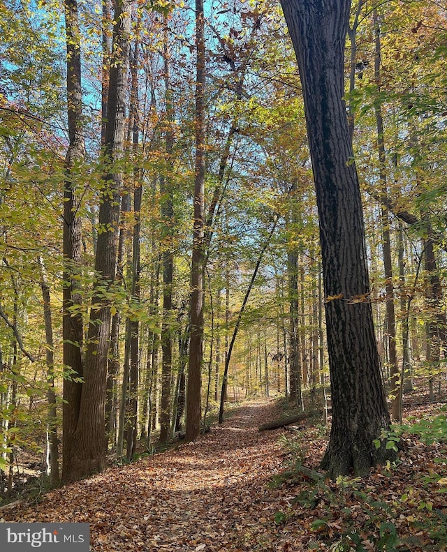 view of landscape with a view of trees