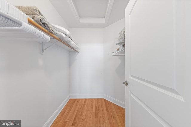 spacious closet featuring light wood-style flooring and attic access