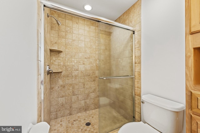 full bathroom with toilet and tiled shower