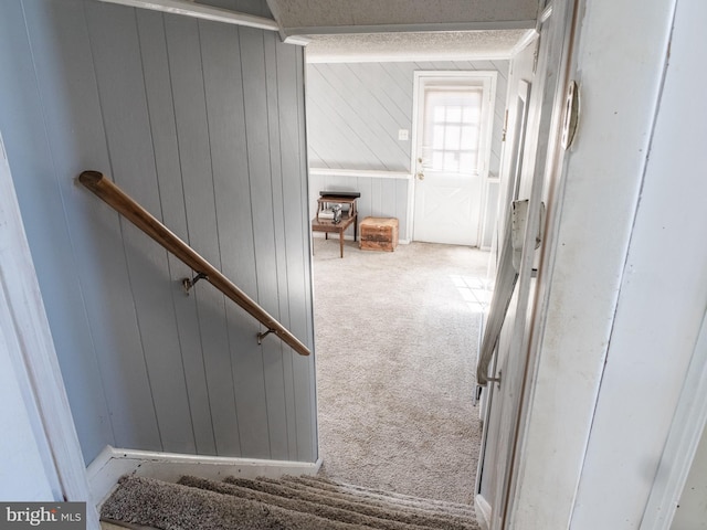 stairs with carpet flooring and wooden walls