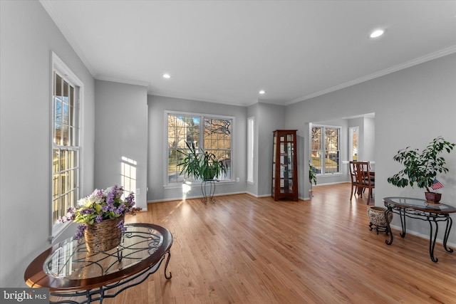 sitting room featuring wood finished floors, baseboards, and a wealth of natural light