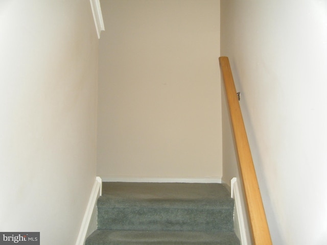 stairway with baseboards and carpet floors