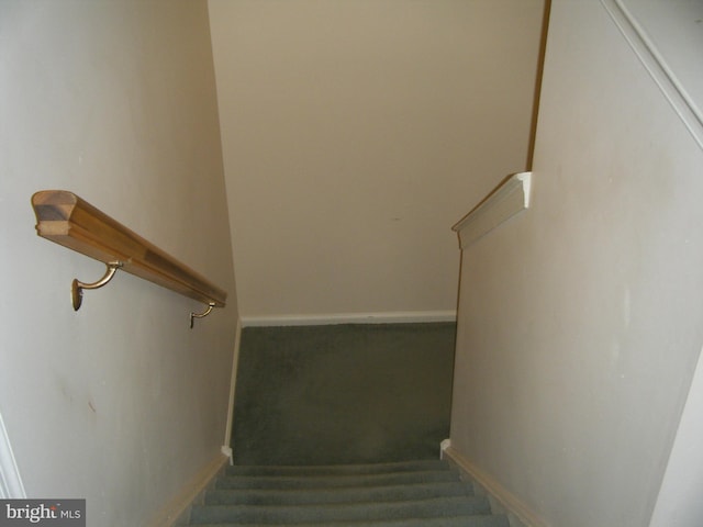 staircase with baseboards and carpet floors