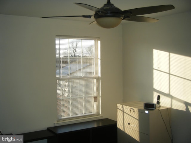 room details with a ceiling fan