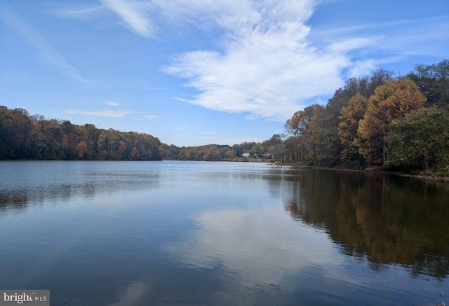 view of water feature with a view of trees